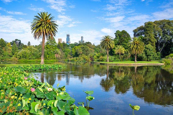 Jardines Botánicos Reales