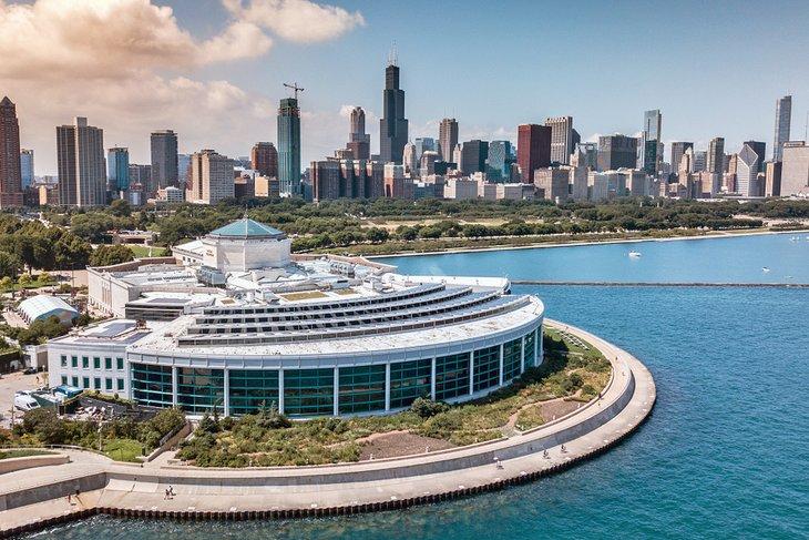 Acuario Shedd