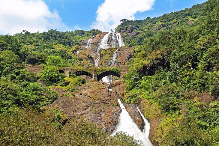 Dudhsagar Wasserfälle, Bhagwan Mahavir Wildschutzgebiet
