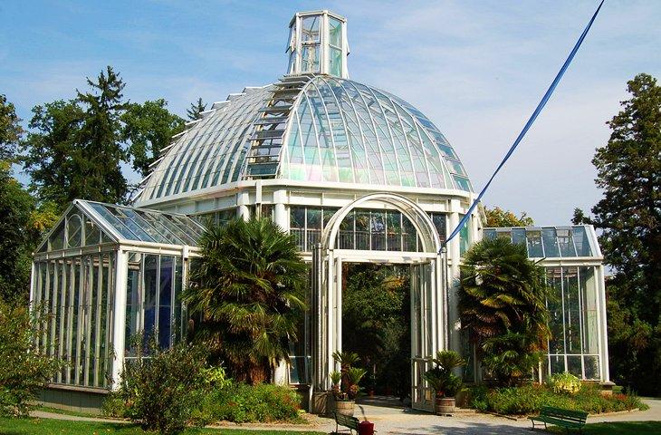 Jardin Botanique (Jardín Botánico)