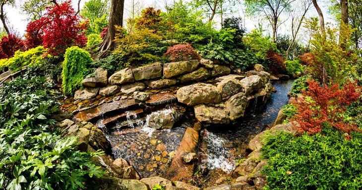 El Jardín Botánico de Dallas