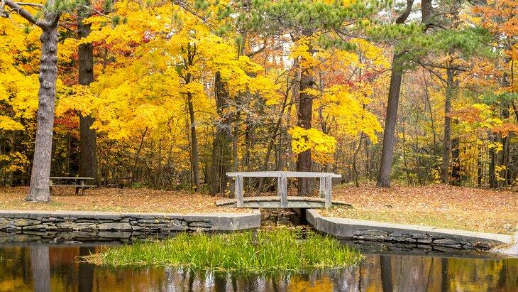 Colores otoñales en Point Pleasant Park