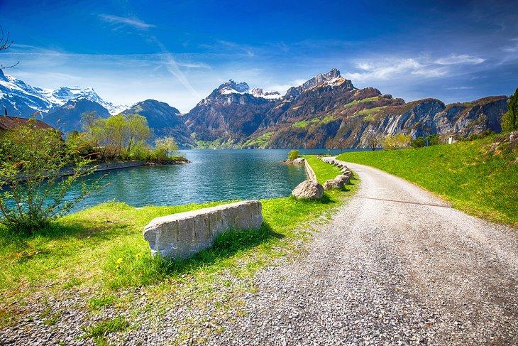 Sendero junto al lago de Lucerna