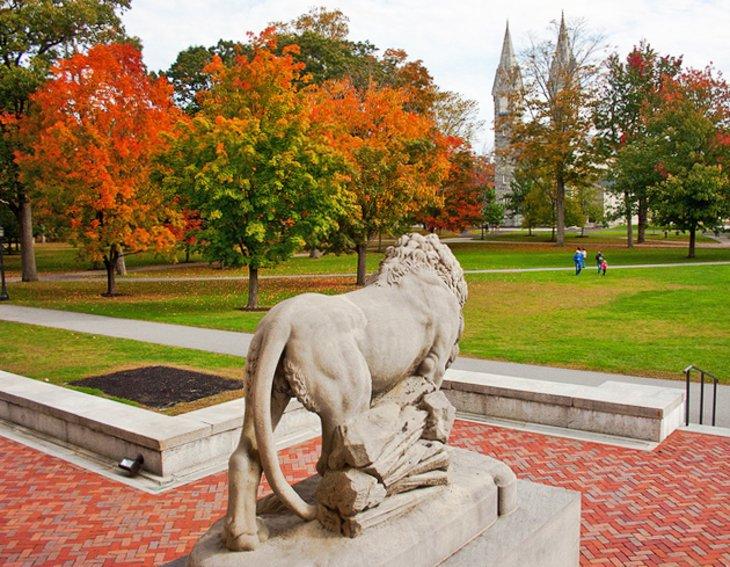 Museo de Arte de Bowdoin College
