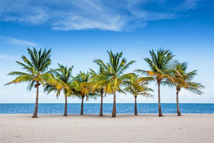 Key Biscayne Strand