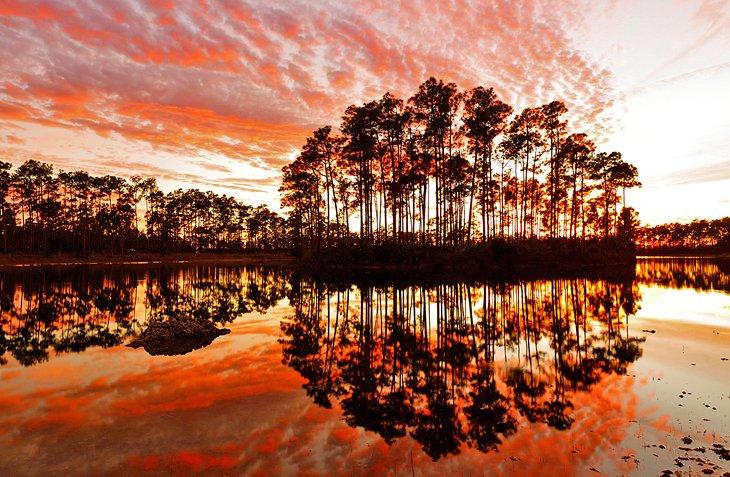 Sonnenuntergang über Long Pine Key Lake, Everglades National Park