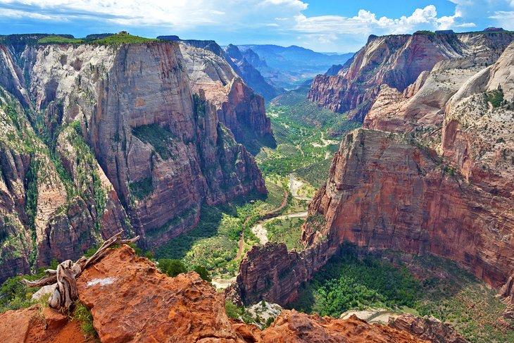 Vista del Cañón Zion desde el Punto de Observación