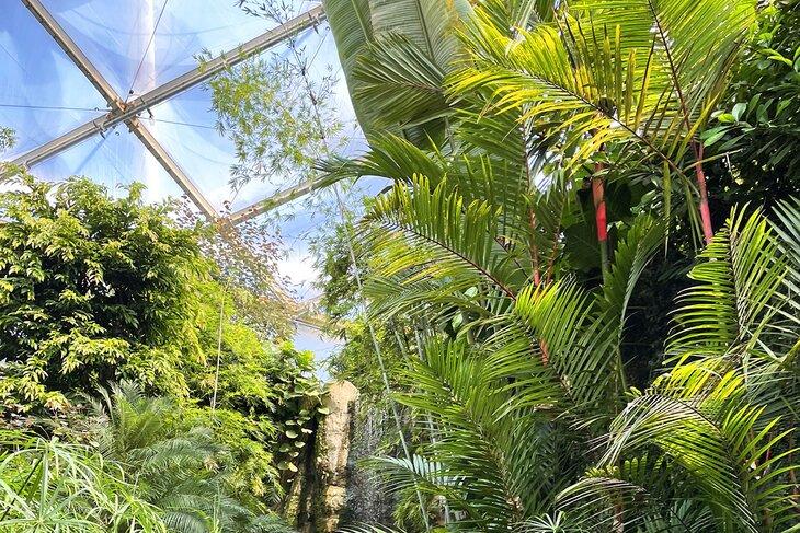 Jardín Botánico de Leipzig
