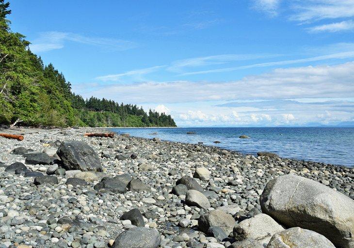 Parc naturel de Seal Bay, Courtenay