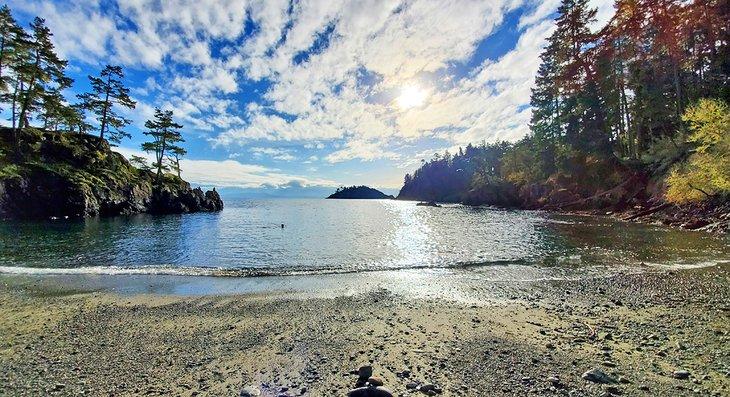 Nager en janvier à Iron Mine Bay à East Sooke