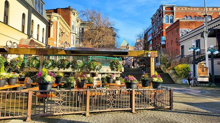 Vases de fleurs en fleurs en décembre à Victoria