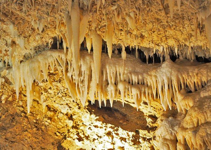 Cueva de Harrison