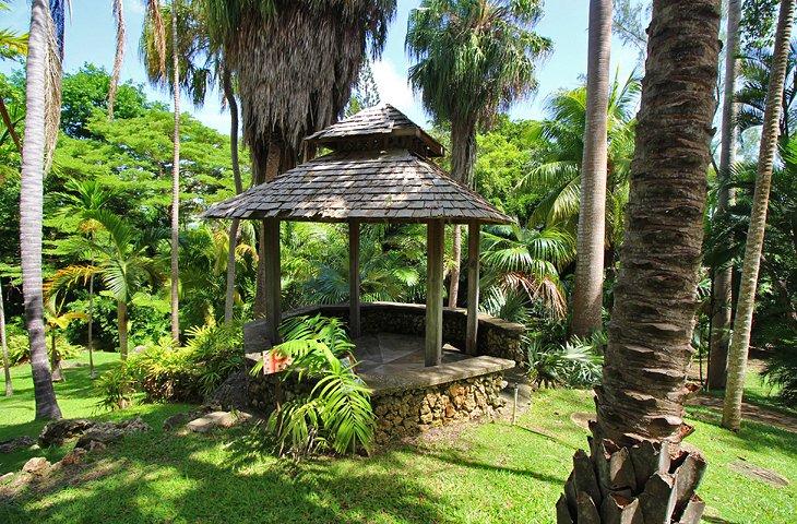 Jardines Botánicos de Andromeda