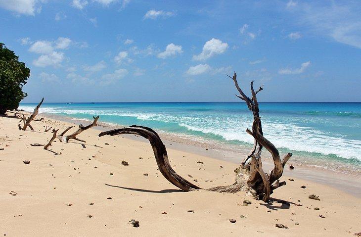 Playa Heywoods