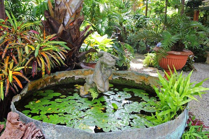 Jardines de Hunte