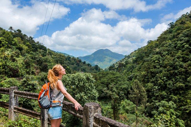 Un randonneur profitant de la vue dans les Blue Mountains de Jamaïque
