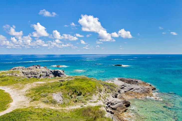 Reserva Natural de la Isla Cooper