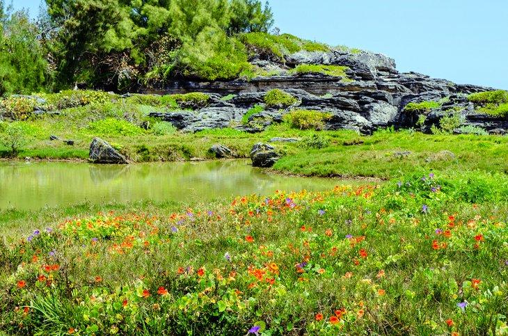Reserva Natural Spittal Pond