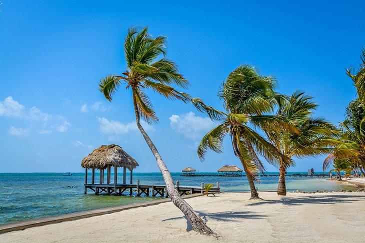 Ambergris Caye