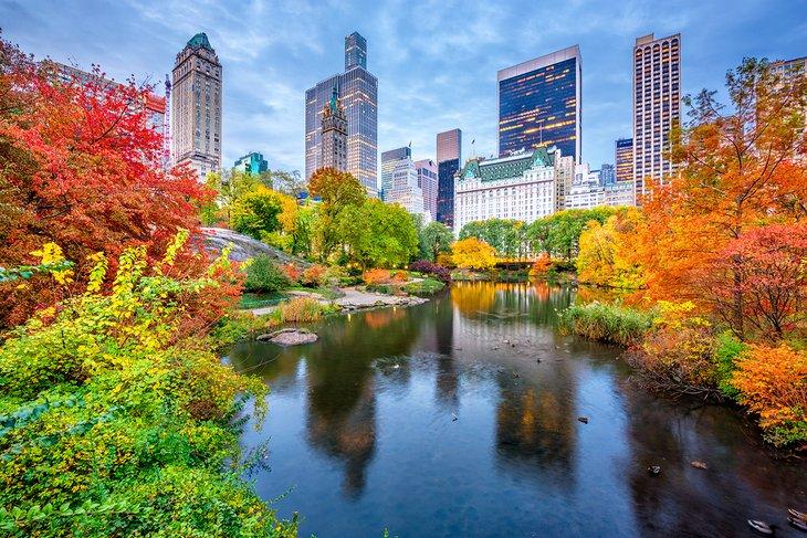 Automne dans Central Park à New York