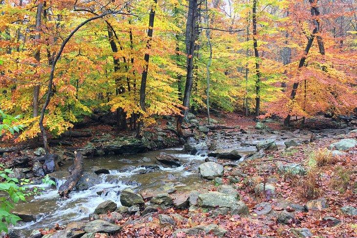 Feuillage d'automne au Parc d'État de Cunningham Falls