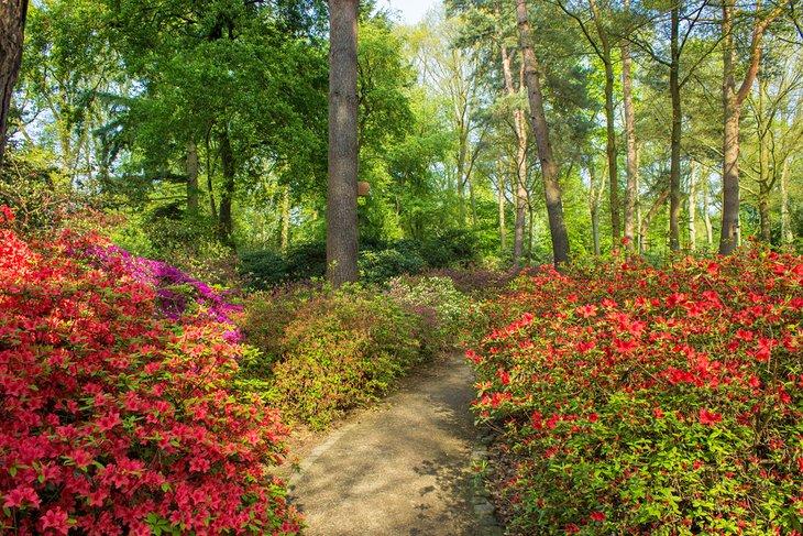 El Parque de Rododendros