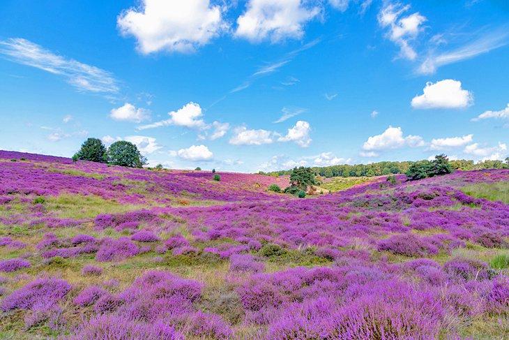 Parc national de Veluwezoom