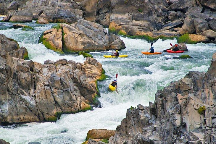 Kayakistes dans le parc Great Falls