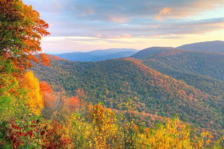 Automne dans le parc national de Shenandoah