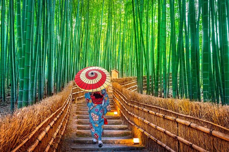 Arashiyama Bambuswald