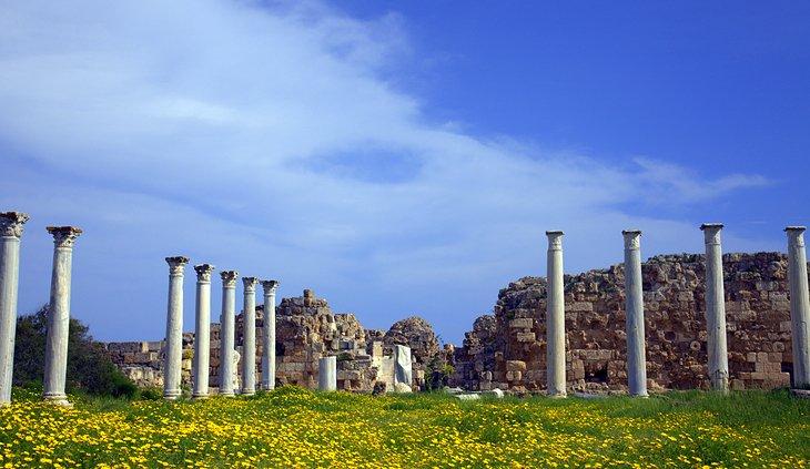 Salamis antiguo