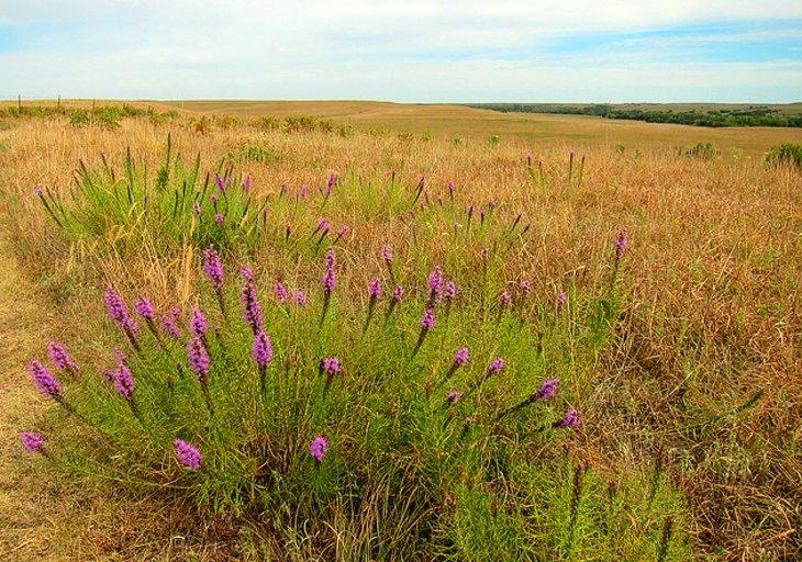 Reserva Nacional de la Pradera de Hierba Alta
