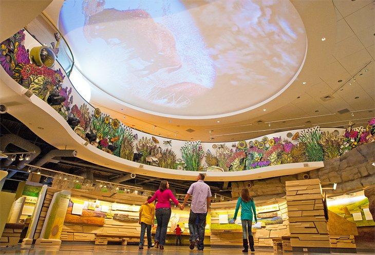 Flint Hills Discovery Center