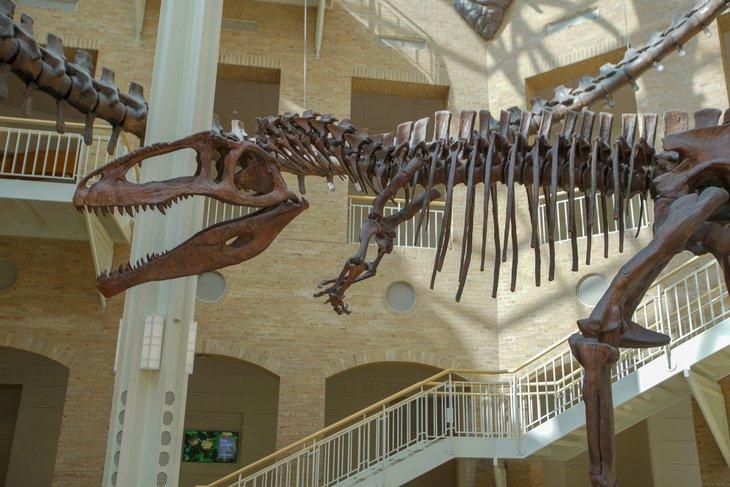 Museo de Historia Natural Fernbank