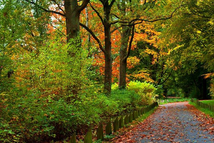 Parc de la ville de Groningue