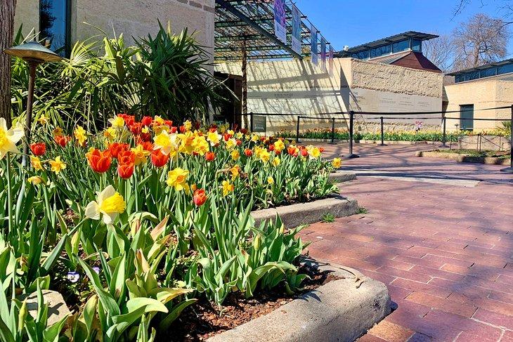 El Jardín Botánico y Arboreto de Dallas