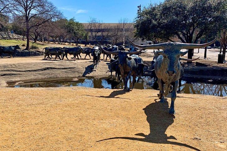 Esculturas del desfile de ganado de Dallas en Pioneer Plaza