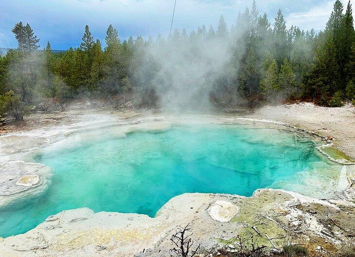 Emerald Spring im Norris Geyser Basin