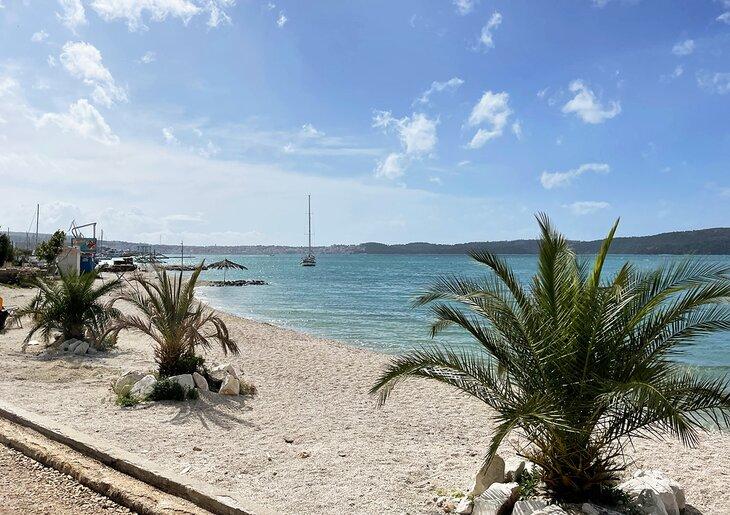 Strand Seget