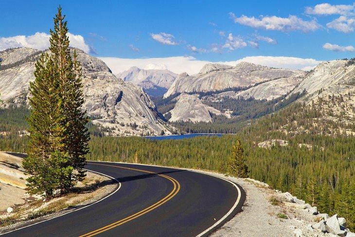 Tioga Road, Yosemite-Nationalpark