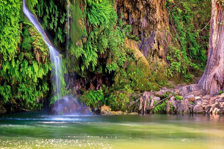 Cascada de Krause Springs