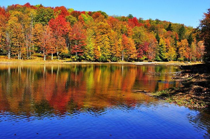 Colores de otoño en Summit Lake, Bosque Nacional Allegheny