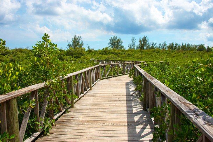 Pasarela de madera en el Parque Nacional Lucayan