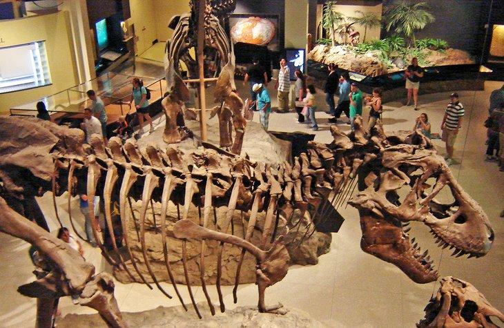 Museo de Ciencias Naturales de Houston