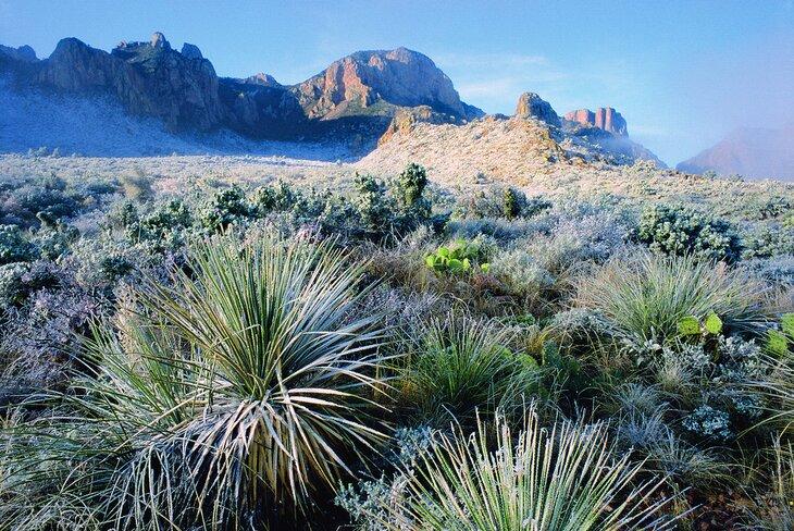 Parque Nacional Big Bend en invierno