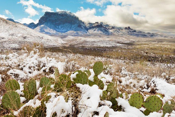 El Desierto Chihuahuense y las Montañas Chisos cubiertas de nieve