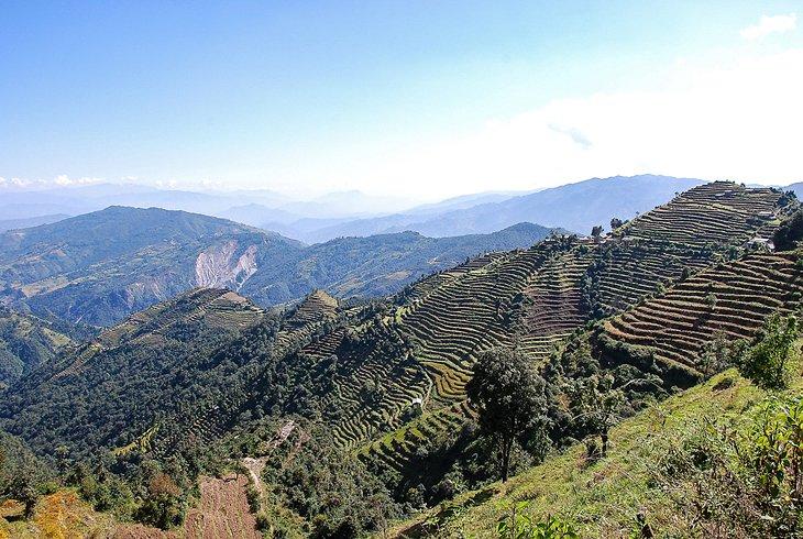 Región de Helambu
