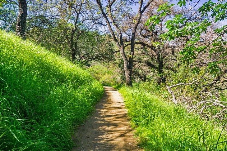 Wanderweg im Santa Teresa County Park