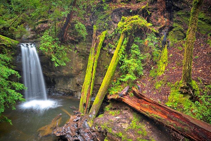 Sempervirens Falls auf dem Sequoia Trail