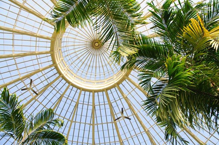 Jardines Botánicos de Buffalo y el Condado de Erie